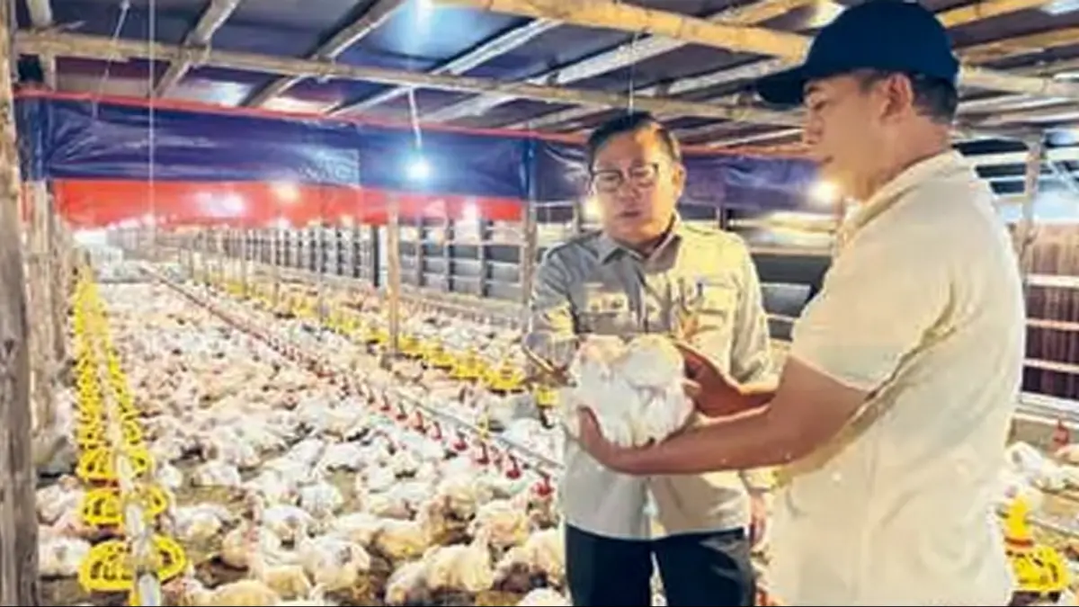 STABILKAN HARGA: Agung Suganda (kiri) meninjau peternakan ayam di Bogor, Jawa Barat. (Foto: HUMAS KEMENTAN)