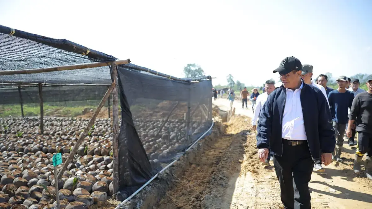 Mentan Amran Sebut Pembibitan Kelapa Sultra Layak Jadi Contoh Nasional