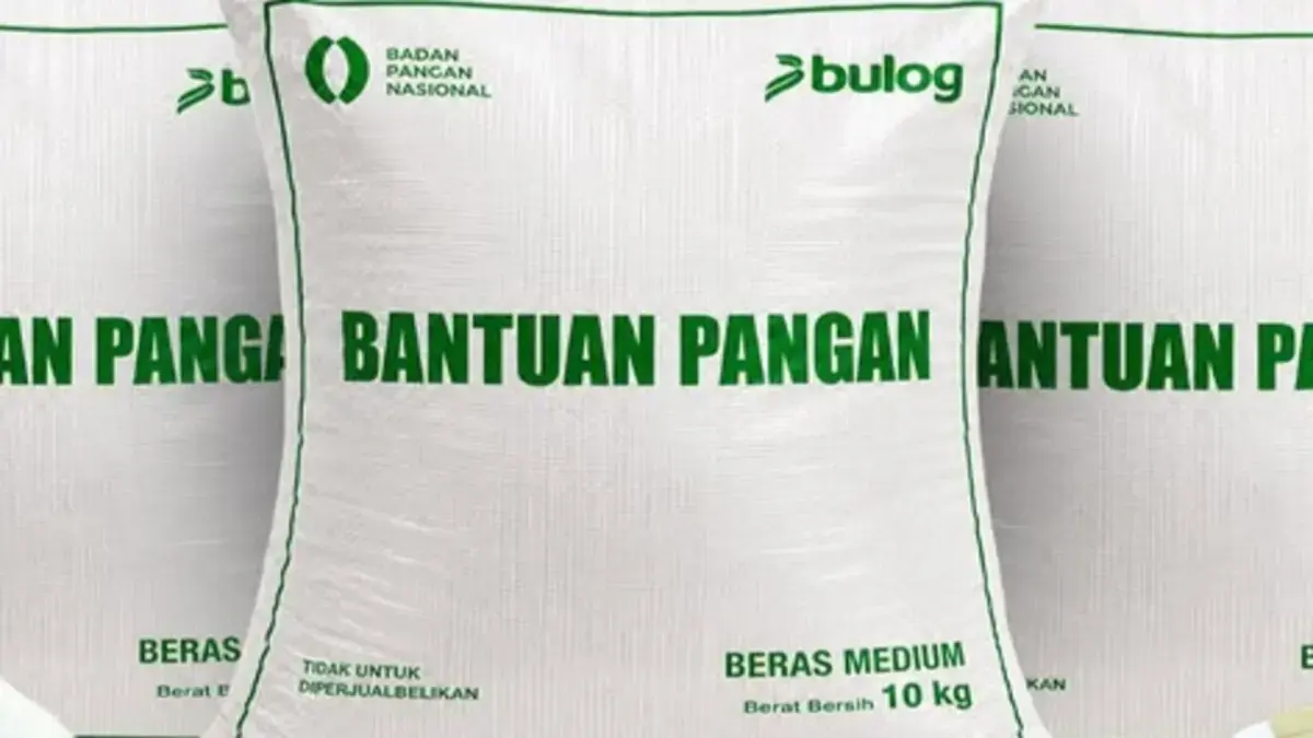 Siap-siap, Distribusi Bansos Beras 10 Kg Dijadwalkan Bergulir Bulan Depan, Pastikan KPM Menerima Undangan dari Kelurahan Setempat