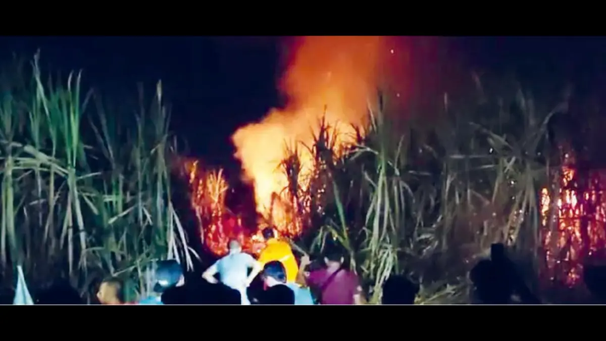 JINAKKAN API: Tahura R. Soerjo, Kabupaten Mojokerto, Jatim, terbakar sejak Selasa (14/7) malam. Luas wilayah terdampak belum bisa dipastikan hingga kemarin (15/7). (Foto: BPBD KABUPATEN MOJOKERTO)