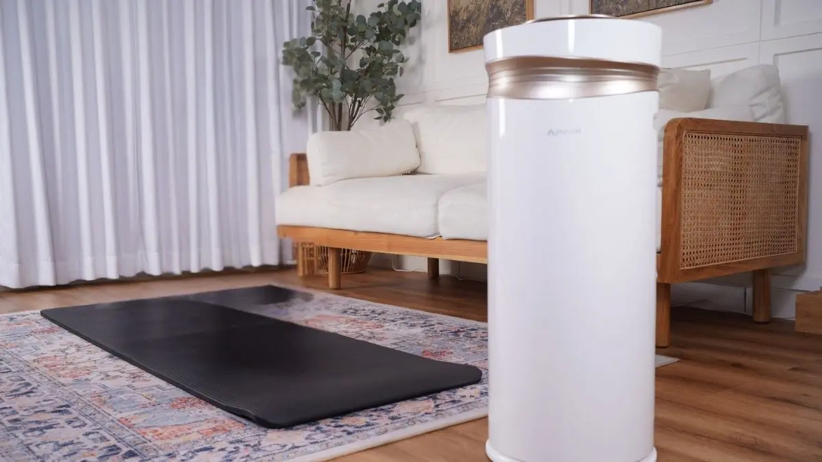 Air Purifier (Foto : Pureve) 