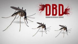 Ilustrasi Demam Berdarah Dengue (Istimewa)