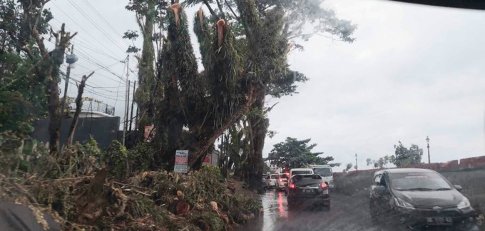SEGERA DIANGKUT: Dahan pohon yang telah dipotong disarankan agar segera diangkut agar tidak mempersempit jalan hingga mengakibatkan kemacetan.