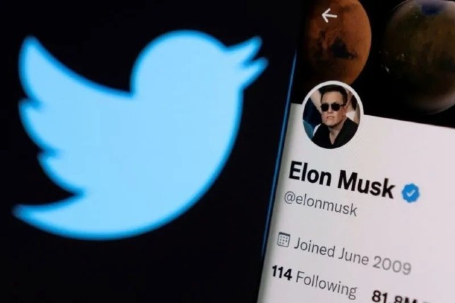 Akun Twitter Elon Musk (Dado Ruvic/Illustration/Reuters/Antara)