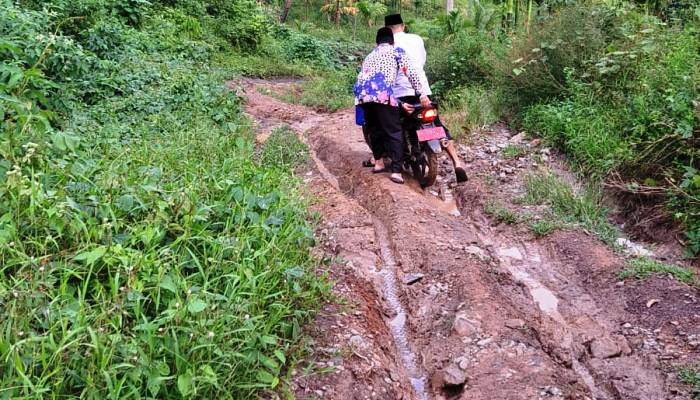 Bupati Pasaman Sabar AS berusaha melalui rute jalan ke Jorong Marapan, Nagari Lubuk Gadang, Kecamatan Mapattunggul, Selasa (26/3/2024.)