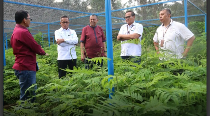 Dirut PT Semen Padang Indrieffouny Indra di rumah pembibitan kaliandra merah di Kampus 1 Politeknik Pertanian Negeri (Politani) Payakumbuh (PPNP).