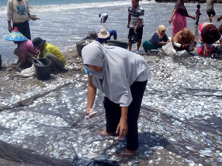 Pengunjung bisa ikut menarik pukat nelayan di Pantai Salido. (DOK DEVA MENDRA FOR PADEK)