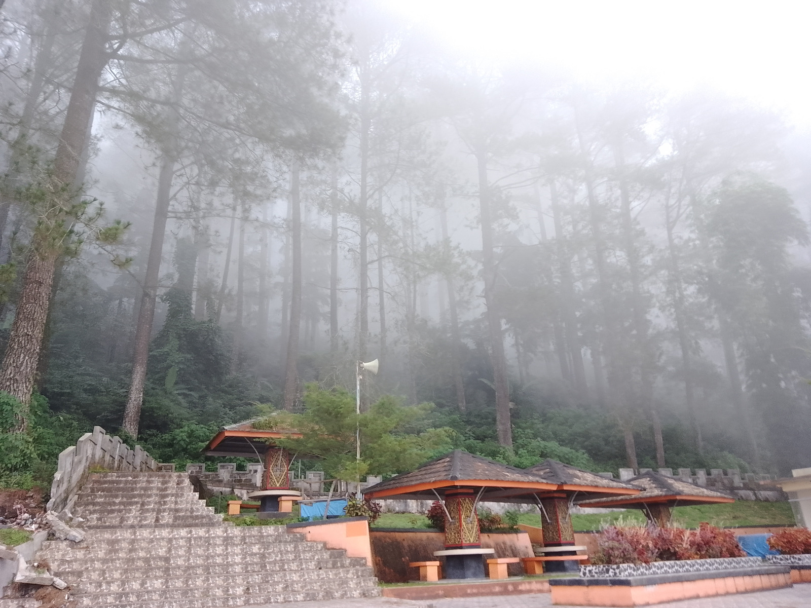 SUASANA sejuk dan asri di kawasan Sejuta Janjang Lereng Singgalang yang dikelilingi hutan pinus. (RIAN/PADEK)