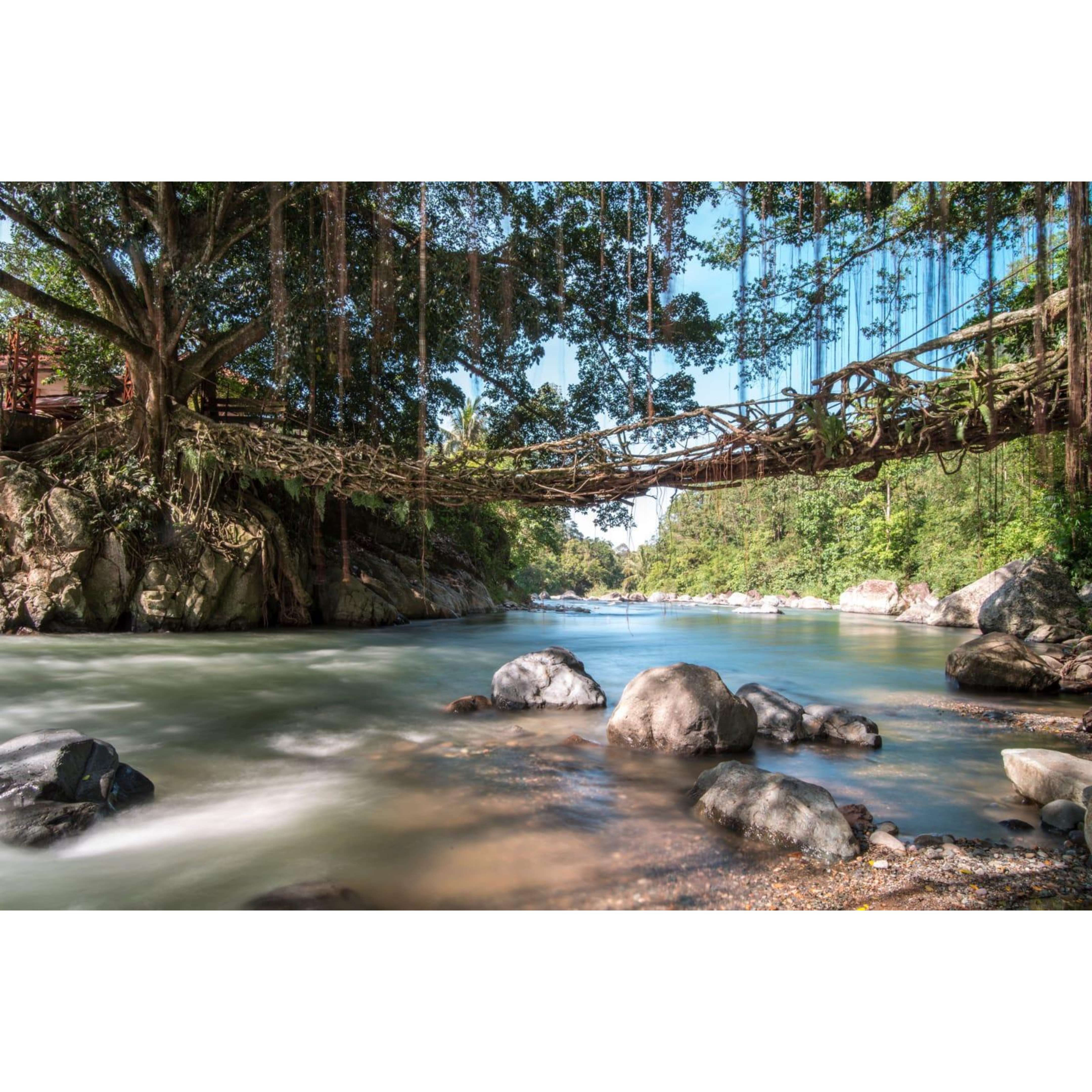 JEMBATAN Akar Puluik-puluik menjadi salah satu objek wisata andalan Kabupaten Pessel.(DOK DISPARPORA PESSEL)