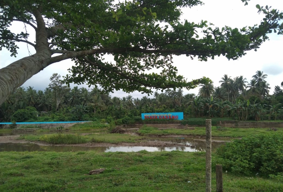 Embung Sungai Abu Tabek Gadang di Nagari Toboh Gadang, Kabupaten Padangpariaman yang berpotensi jadi destinasi wisata. (Foto: Zamzami)