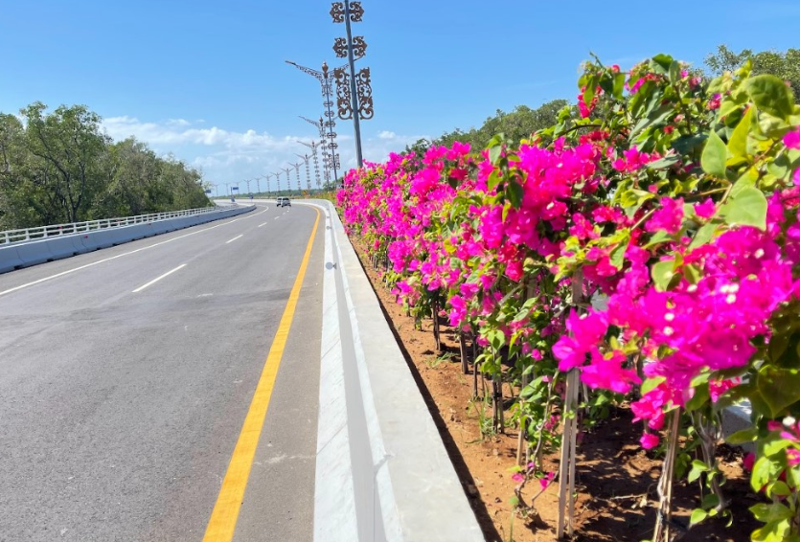 Sebanyak 450 ribu tanaman menghiasi jalan tol di Indonesia. (Foto: BPJT)