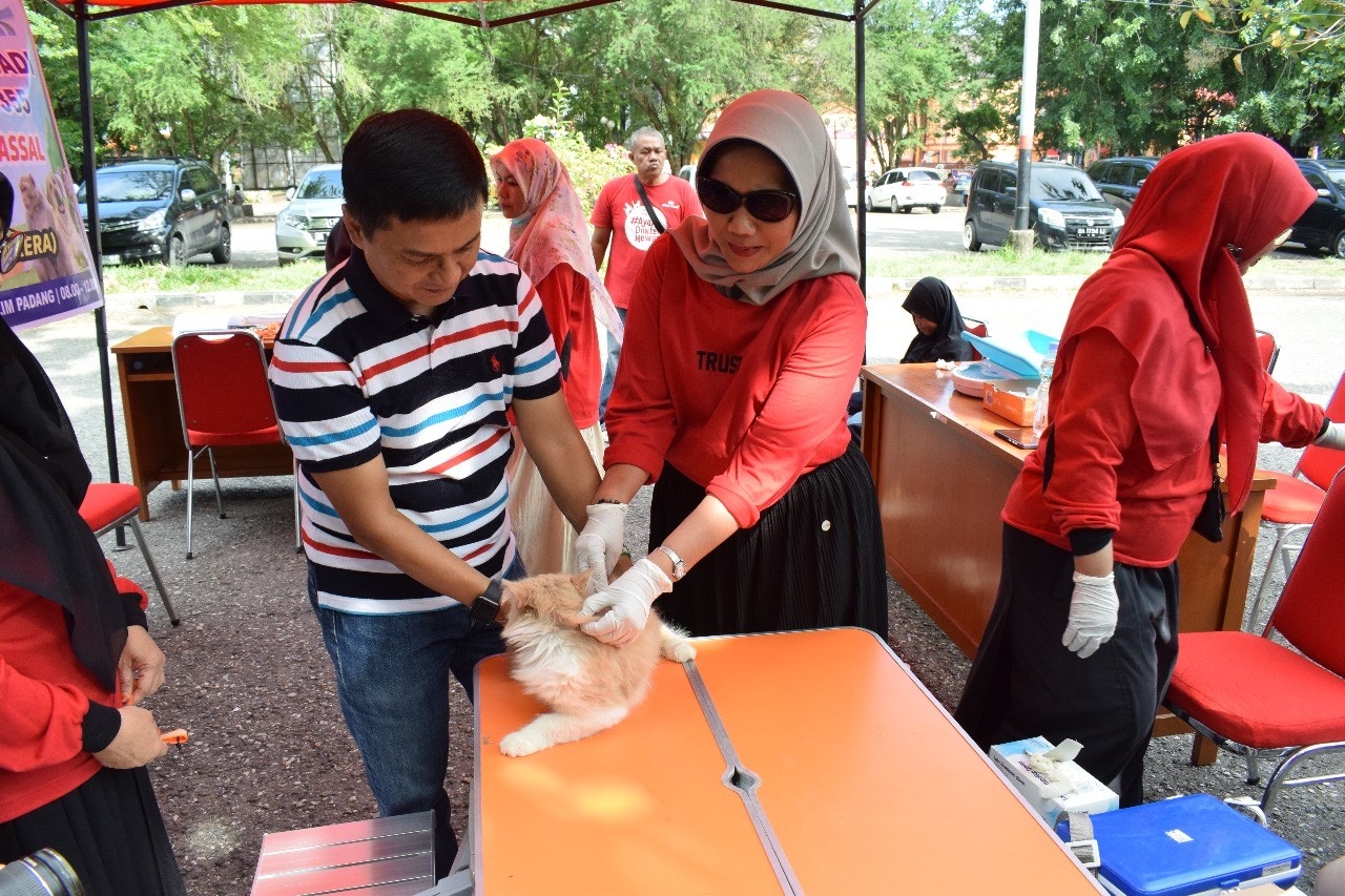 Seekor kucing peliharaan sedang divaksin rabies oleh petugas kesehatan hewan Dinas Pertanian Padang beberapa waktu lalu di kawasan GOR H Agus Salim Padang. (DOKUMEN DINAS PERTANIAN PADANG)