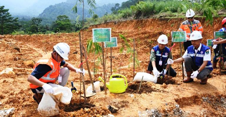 Penanaman pohon di Taman Reklamasi Padayo di areal IUP Padayo, Kelurahan Indarung, Kecamatan Lubukkilangan, Kota Padang, Rabu (21/8/2024).