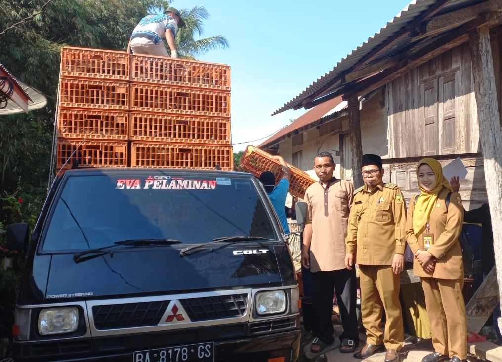 Wali Nagari Gurun, Elmas Dafri serahkan bantuan itik petelur di Dusun Teratai, Jorong Gurun, Nagari Gurun, Selasa (3/9/2024).