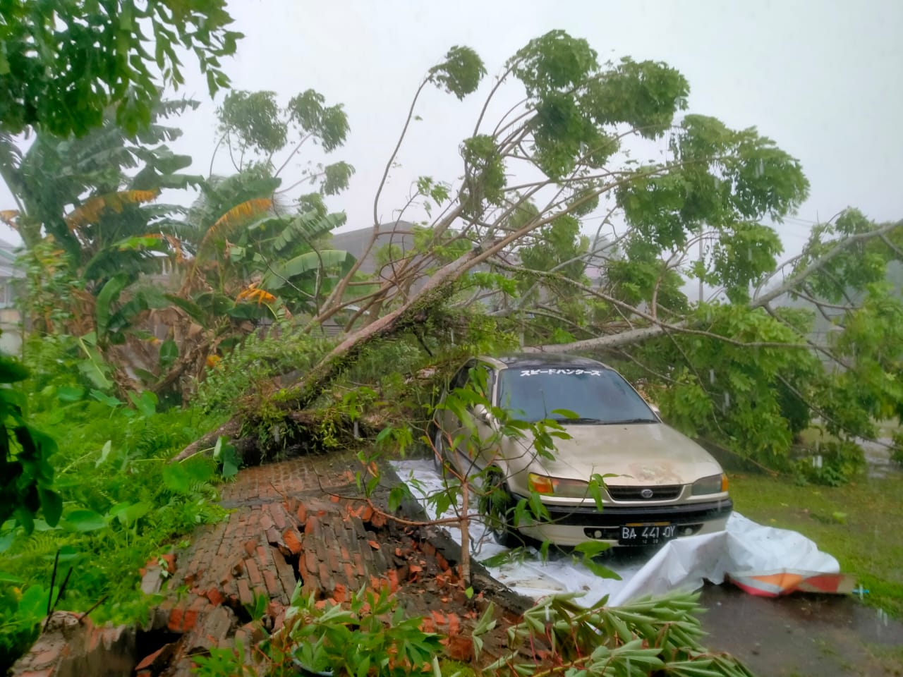 Pohon tumbang menimpa satu unit mobil di salah satu lokasi di Kota Padang, Selasa (17/9).