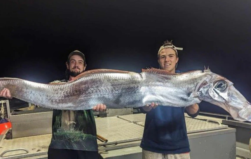 Dua Pemancing Australia menangkap Ikan langka dengan kepala mirip kuda di Tiwi Islands. (Foto: Fishing Australia TV Facebook)