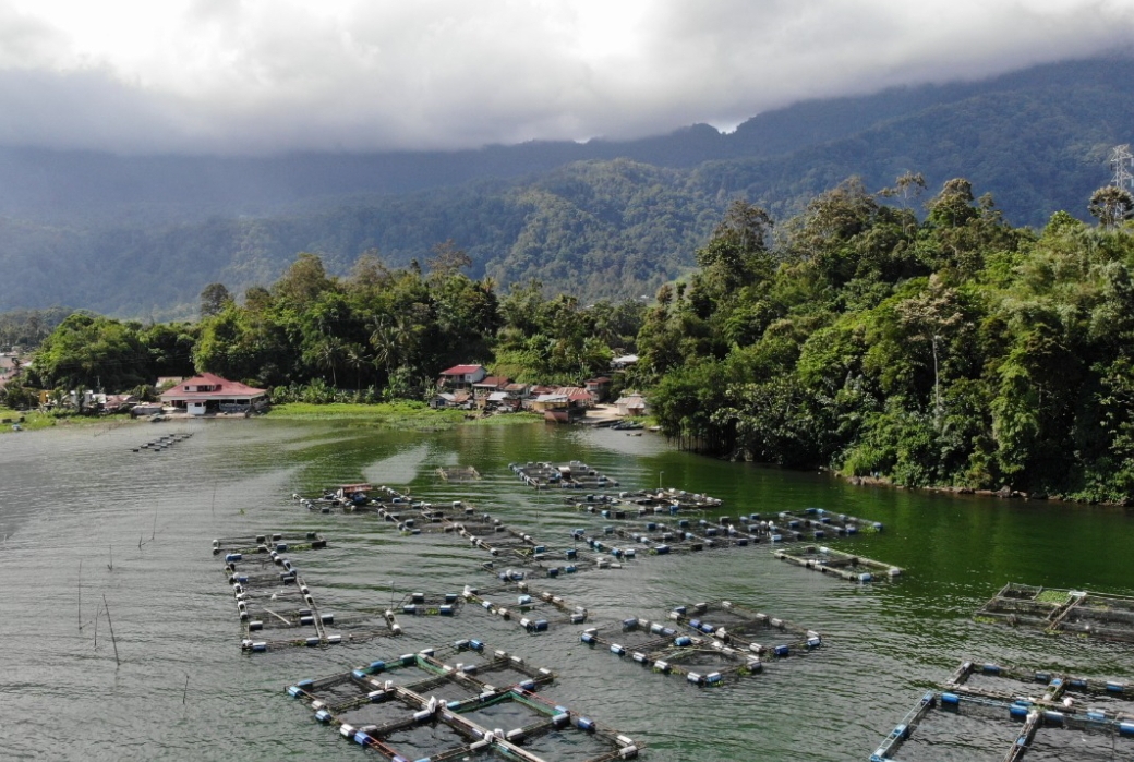 Di balik keindahannya, Danau Maninjau masih menghadapi masalah serius pencemaran yang tak kunjung teratasi.(Foto: Putra Susanto/ Padek)