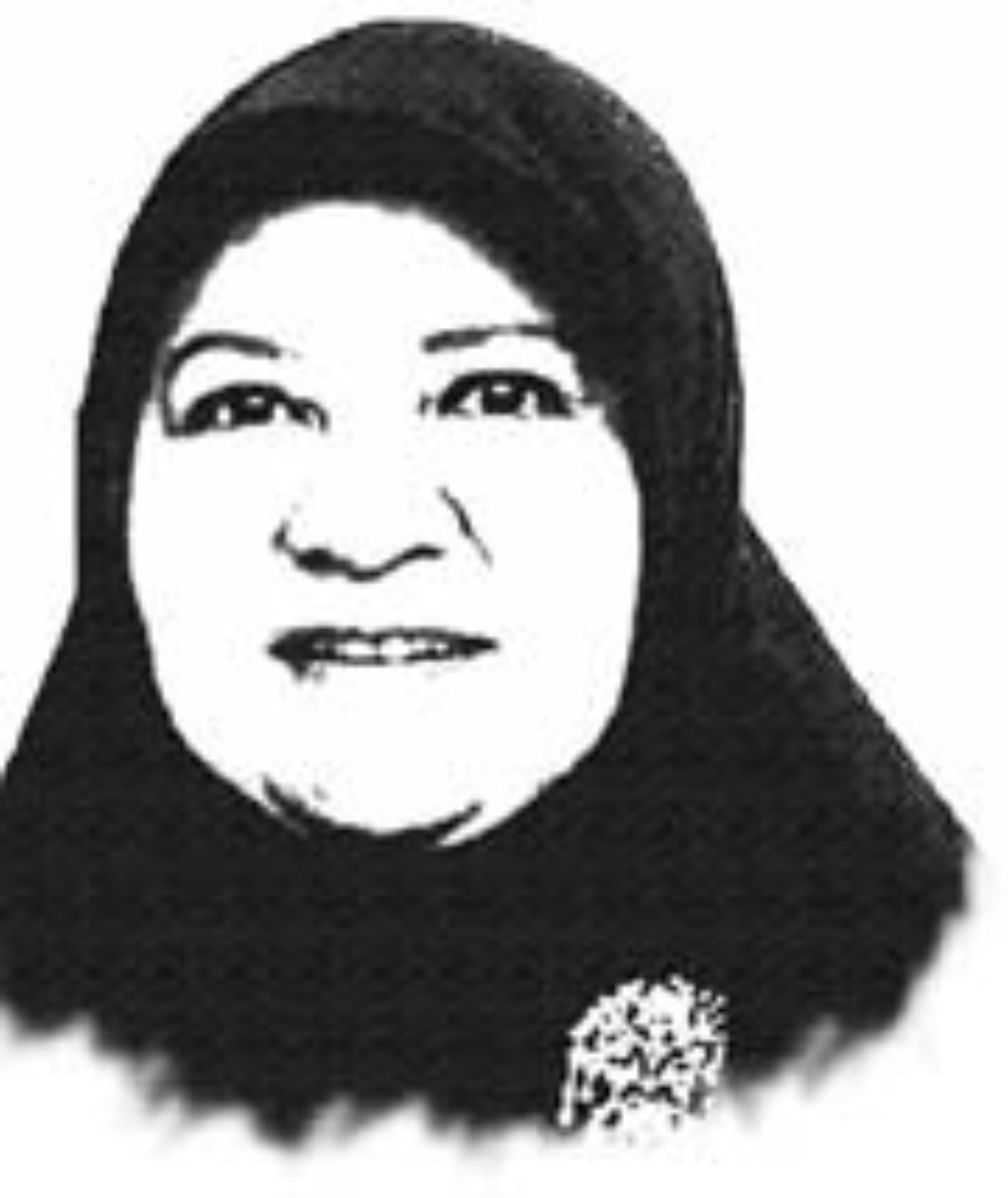 Nevi Zuairina, Anggota DPR RI Dapil Sumbar II. (Padek.co)