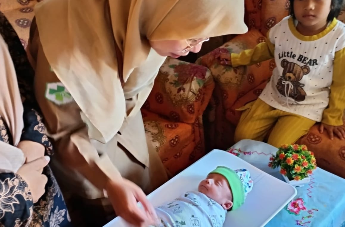 Pemeriksaan Bayi Berat Lahir Rendah (BBLR)