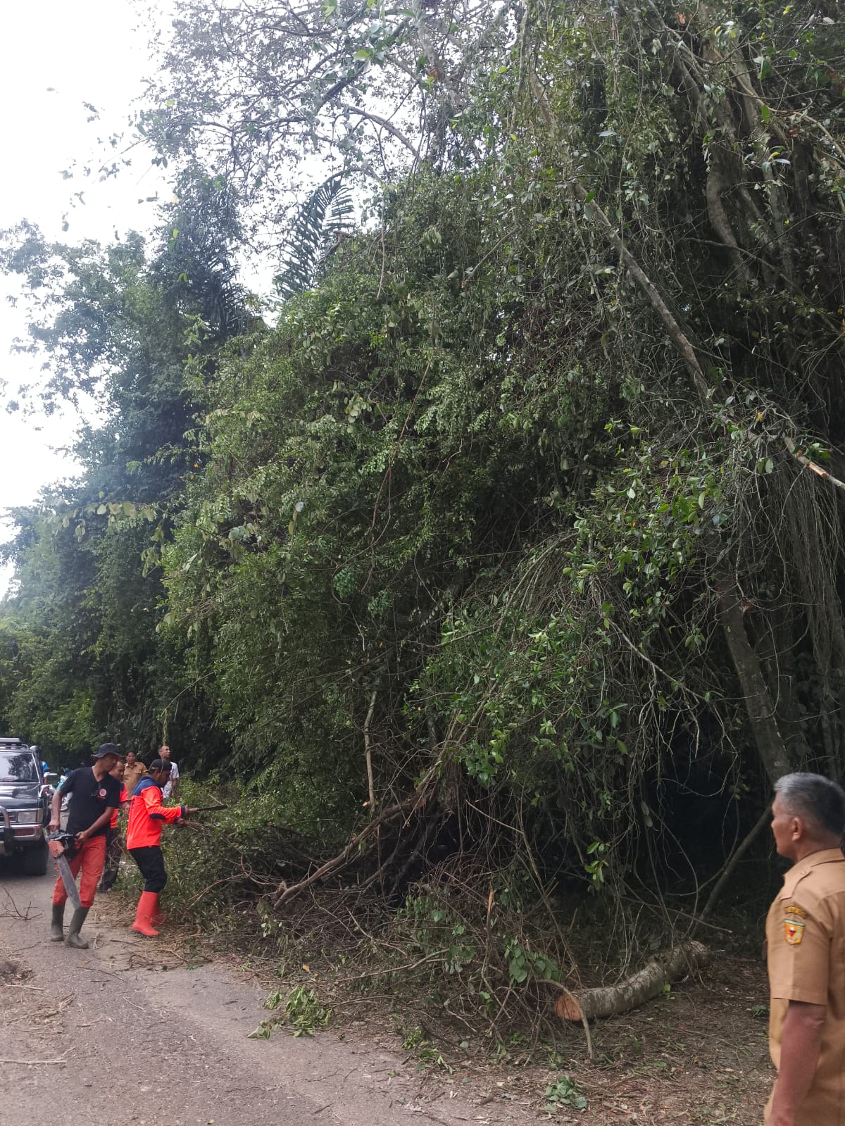 PEMBERSIHAN: Personel BPBD Tanahdatar bersama warga berjibaku membersihkan material pohon beringin yang patah menutup akses jalan di Jorong Baringinsakti, Selasa (5/11). (BPBD TANAHDATAR FOR PADEK)