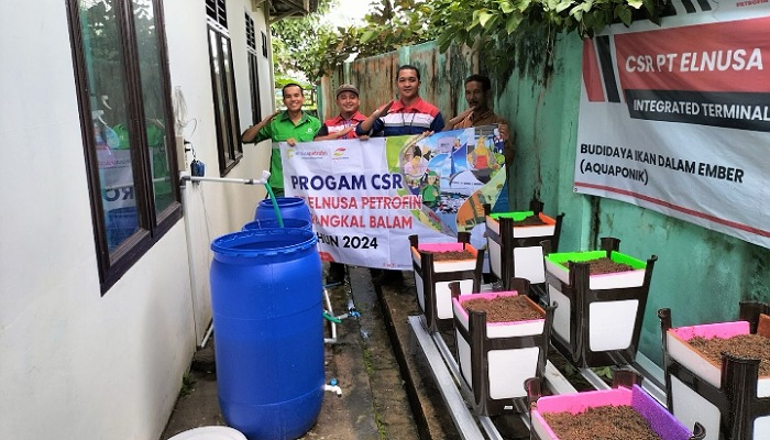Program Budidaya Ikan dalam Ember (Budikdamber) yang diperkenalkan oleh PT Elnusa Petrofin (EPN).