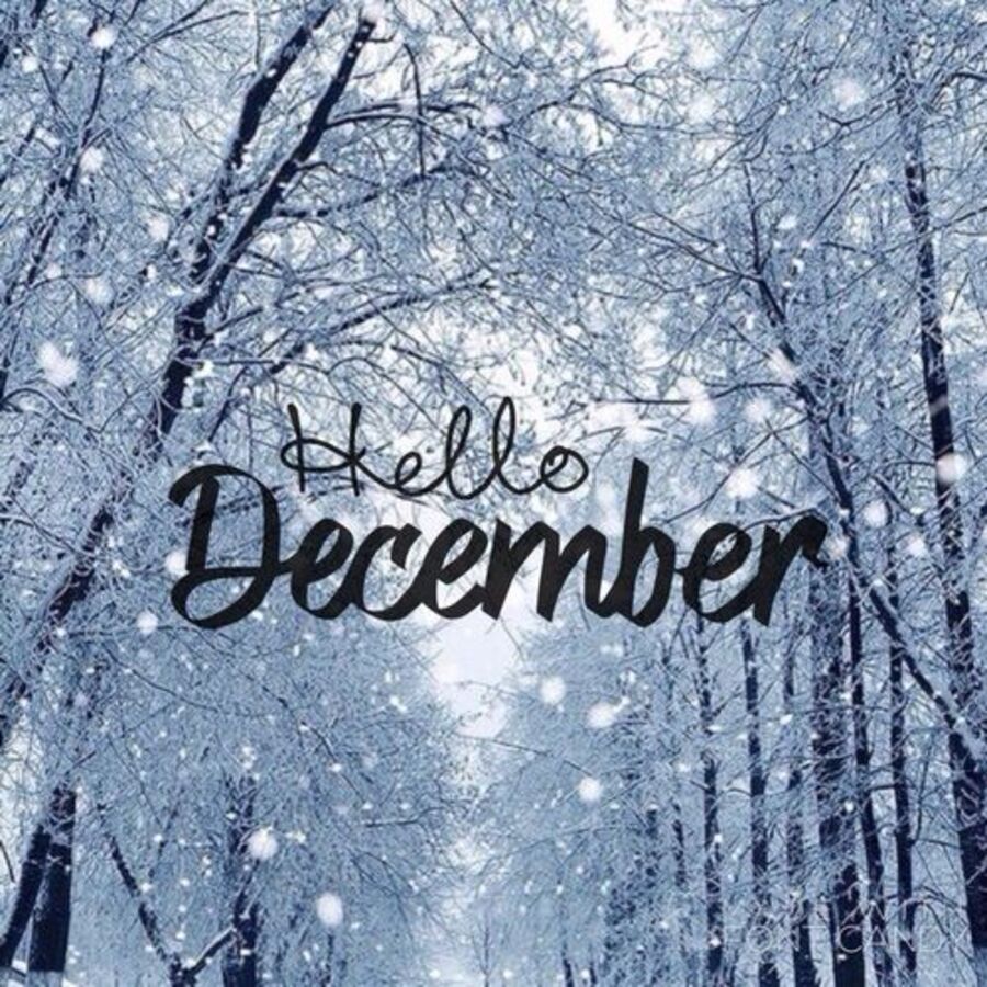 Ilustrasi bulan Desember.