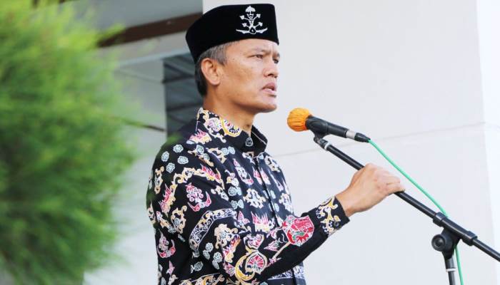 Penjabat (Pj) Wali Kota Pariaman, Roberia.