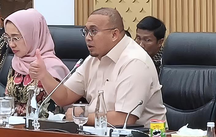 Wakil Ketua Komisi VI DPR RI, Andre Rosiade.