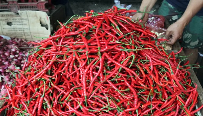 Harga cabai merah terus merangkak naik.(Jawapos)