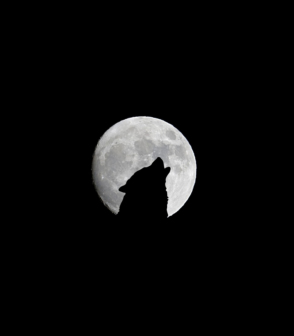 Wolf Moon atau Bulan Dingin.