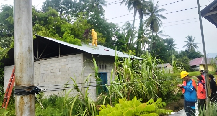 Tim BPBD Kota Padang melakukan penanganan dan pembersihan pohon tumbang di Kelurahan Cupak Tangah, Kecamatan Pauh, Rabu (15/1/2025) sore. (Dok BPBD Padang)