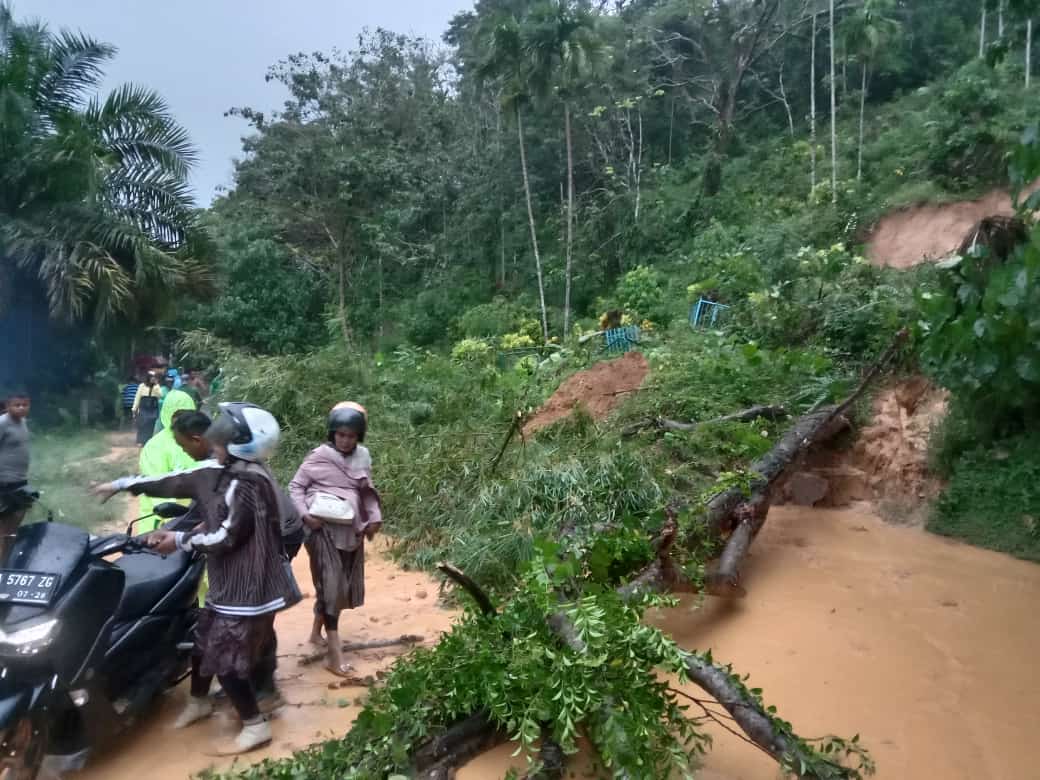 Kondisi ruas jalan di ruas Jalan Bukit Pulai terlihat tertimpa pohon tumbang akibat hujan deras.
