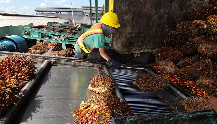 TANTANGAN: Salah satu pabrik pengolahan CPO milik di Indonesia. Kemenangan Indonesia atas UE dalam sengketa kelapa sawit di WTO bakal berpengaruh pada peningkatan ekspor CPO dan turunannya.(JAWA POS)