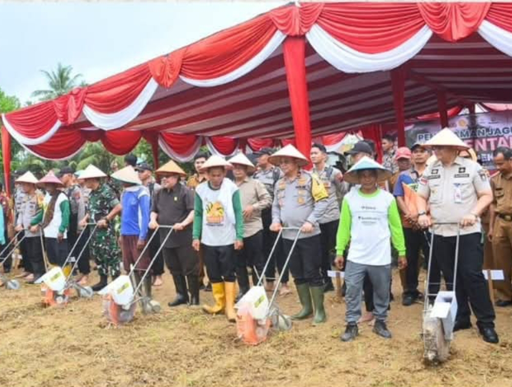 Penjabat Wali Kota Padang, Andree Algamar, mengikuti penanaman bibit jagung yang diinisiasi Polda Sumatera Barat, di Kecamatan Koto Tangah. (Foto: Prokopim)