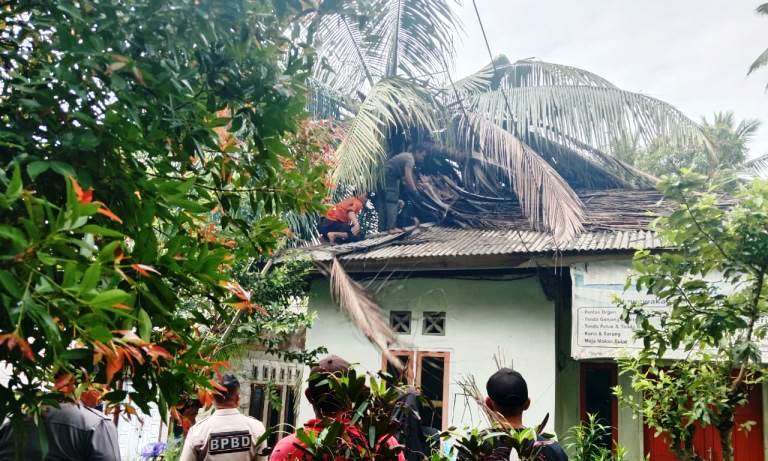 Tim BPBD Kota Padang membersihkan material pohon tumbang yang terjadi di Kelurahan Padang Besi, Kecamatan Lubukkilangan, Kota Padang pada Rabu (22/1/2025).