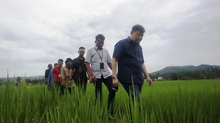 Wakil Ketua Komisi IV DPR RI, Alex Indra Lukman tinjau implementasi teknik sawah bapokok murah yang diusahakan Keltan Bukik Baeh di Nagari Sungai Gayo Lumpo, Pesisir Selatan.