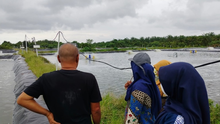 PERIKANAN: Tim pembinaan dan pengawasan perizinan berusaha berbasis risiko Pemkab Agam saat inspeksi lapangan ke pelaku usaha tambak udang di Tanjungmutiara, beberapa waktu lalu.(DOK.ROSVA DESWIRA)