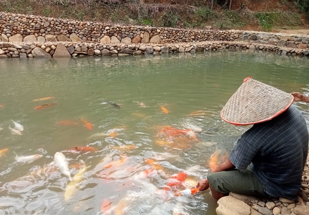 MENJANJIKAN: Ketua P4S Sunkai Permai sedang memberi makan Ikan koi.
