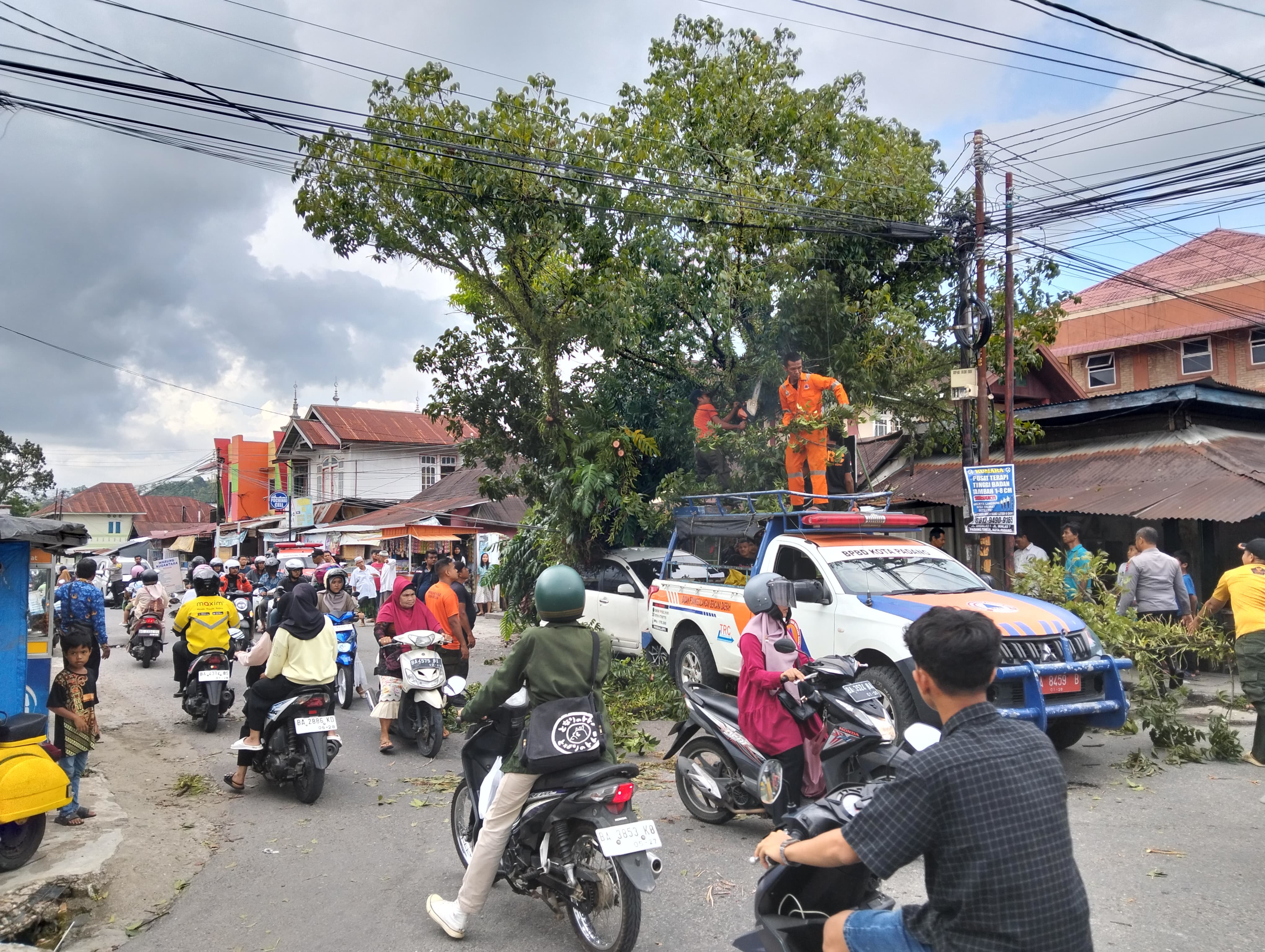 Petugas BPBD Kota Padang melakukan penanganan dan pembersihan pohon tumbang di kawasan Simpang Empat Malintang, Kelurahan Cupaktangah, Kecamatan Pauh, Senin (17/2) sore.