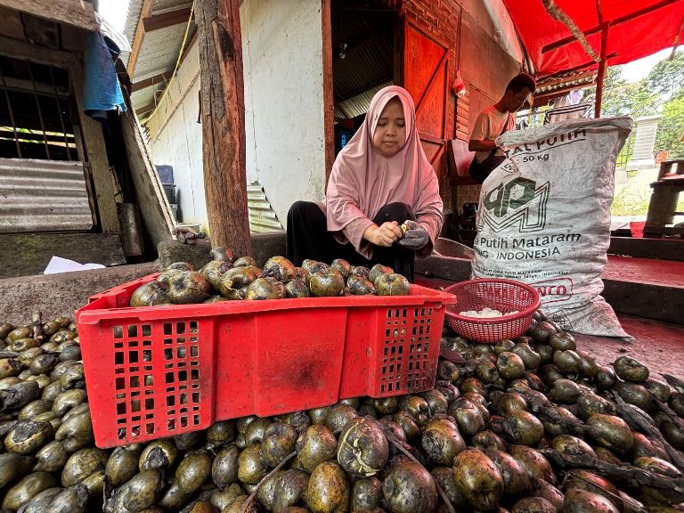 PRIMADONA: Pedagang kolang-kaling tengah membelah cangkang kolang-kaling untuk mempersiapkan bahan jualannya. Di Ramadhan, buah ini paling banyak diminati warga.(SY RIDWAN/PADEK)