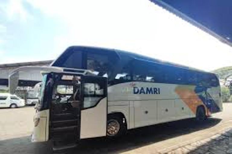 Bus Damri bakal beroperasi kembali di Solok Selatan. (Jawapos)
