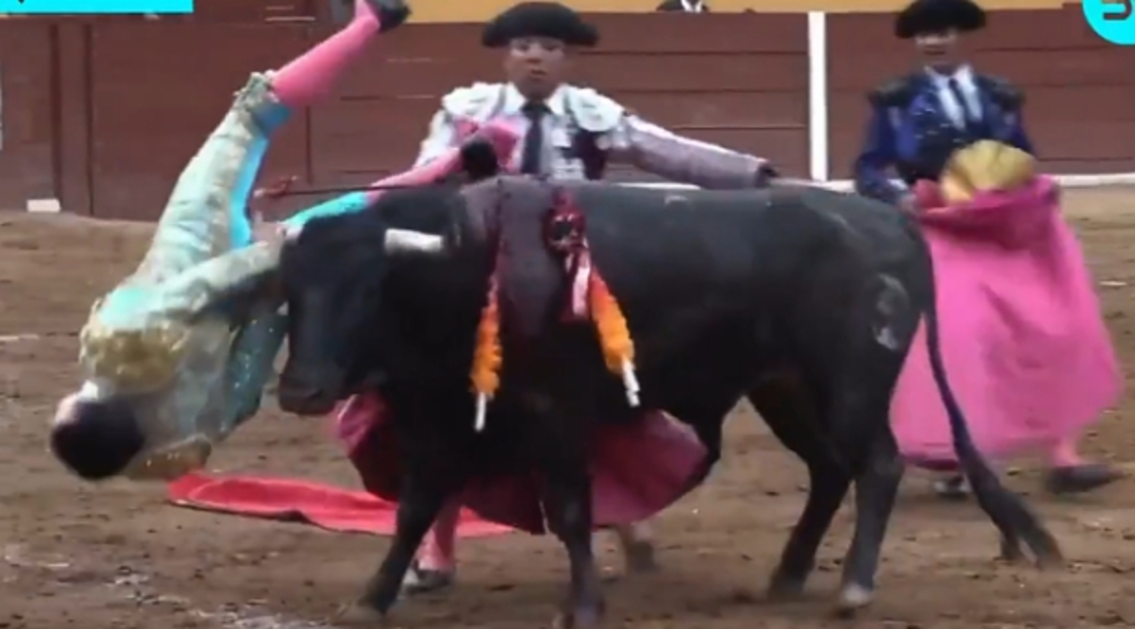 Seorang matador alami luka serius setelah ditanduk banteng dalam festival di Mexico.