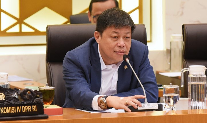 Wakil Ketua Komisi IV DPR RI, Alex Indra Lukman. (Foto : Arief/Andri)