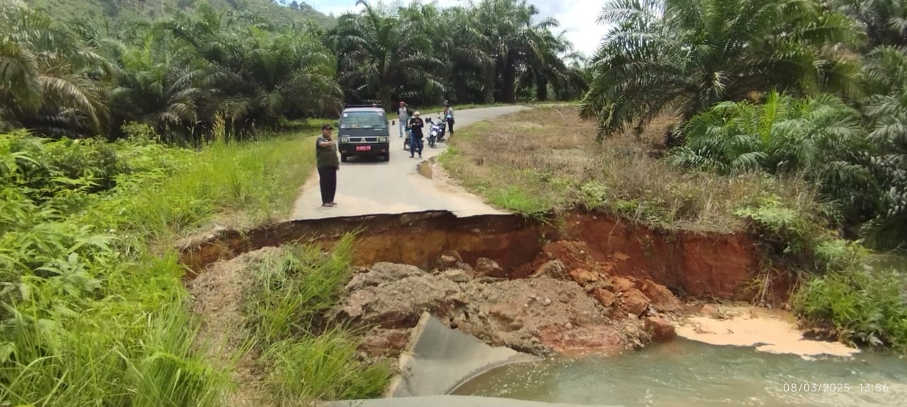 Jalan Bukit Lantak Penghubung Kecamatan Pulau Punjung dan Kecamatan Timpeh, Kabupaten Dharmasraya terputus Sabtu (8/3/2025) sekitar pukul 11.00 WIB.