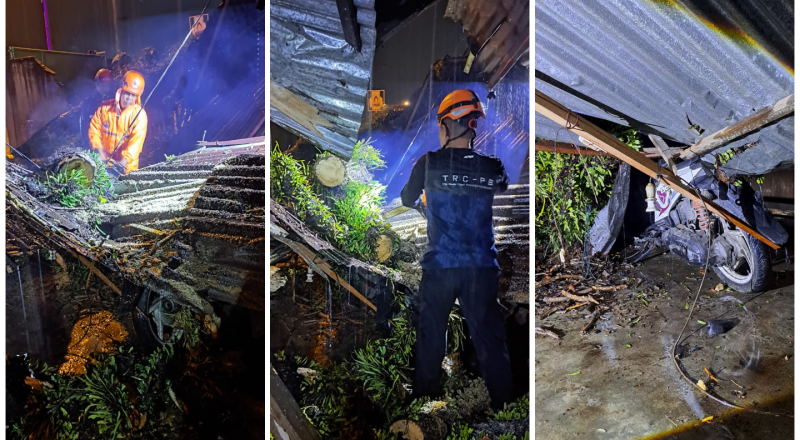 BPBD Kota Padang menangani pohon tumbang yang menimpa rumah dan satu unit sepeda motor di Pasir Jambak RT 03 RW 06, Kelurahan Pasie Nantigo, Kecamatan Kototangah. (BPBD Kota Padang)