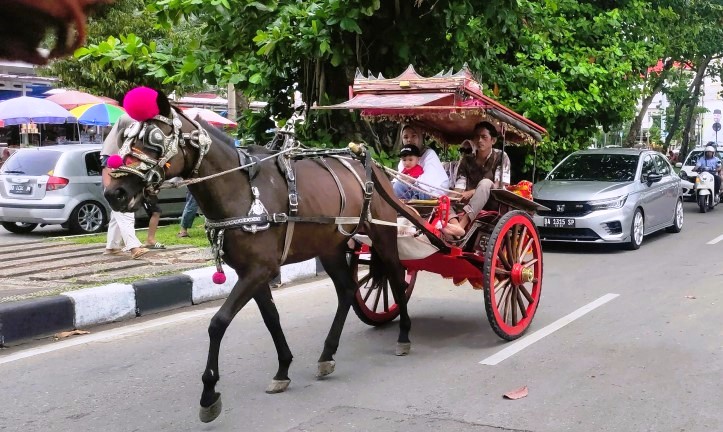 Kusir bendi membawa penumpang menyusuri Pantai Padang, Sumatera Barat, Sabtu (5/4/2025). (Foto: Faisal/Padeks)