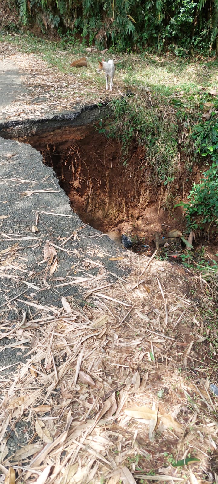KEBUTUHAN MENDESAK: Jalan penghubung Limapuluh Kota&ndash; Payakumbuh di Jorong Tanjuang Haro Utara, Nagari Sikabu-kabu Tanjuang Haro Padangpanjang, ambruk.(FIDEL/PADEK)