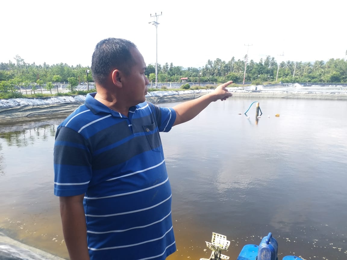 BANTING STIR: Jubir Pamurah menunjukkan tambak udangnya. Ia sukses menjadi petani tambak udang vaname.(YENDI FOR PADEK)