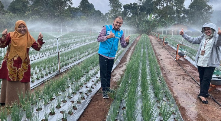 Salah satu pertanian yang telah memanfaatkan program pompanisasi dan elektrifikasi pertanian di Kabupaten Agam. (Foto: PLN Sumbar)