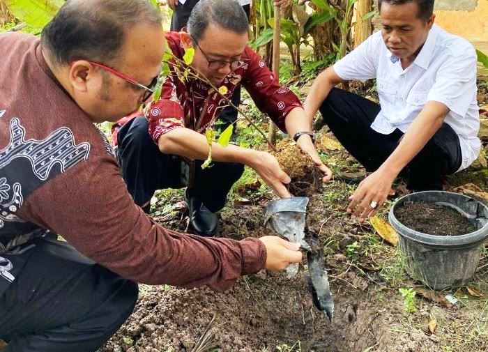Penanaman pohon matoa dalam rangka mendukung program nasional menanam 1 juta penanaman pohon Matoa. (TIM LAMAN GURU)
